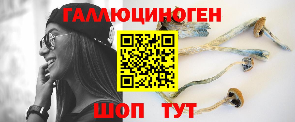 Псилоцибиновые грибы Cubensis  Вход с VPN  Новороссийск 